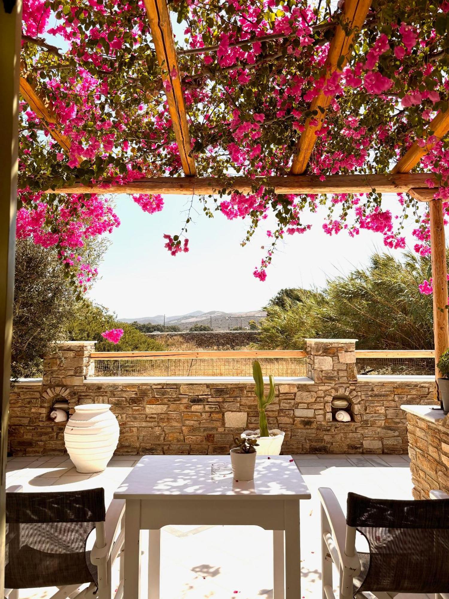 Aegeo Inn Antiparos Екстер'єр фото